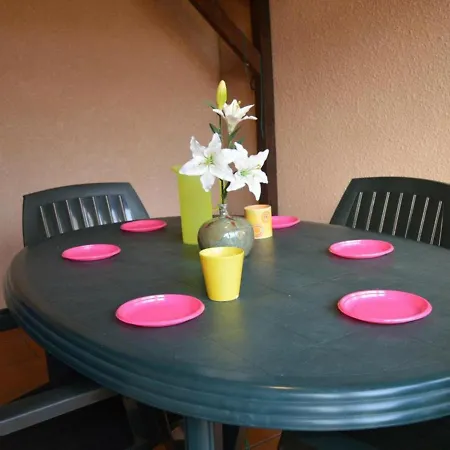 Holiday home Maison Avec Jardin, Veranda, Parking, Proche Port Et - 6 Pers. A Saint-cyprien - Fr-1-225d-177 Saint-Cyprien (Pyrenees-Orientales)